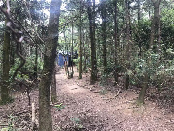 1536221319500236.jpg 640.webp (3).jpg