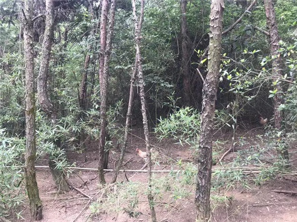 1536221341592278.jpg 640.webp (6).jpg