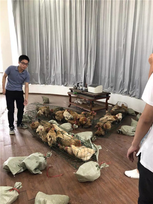 1536221394782476.jpg 640.webp (14).jpg