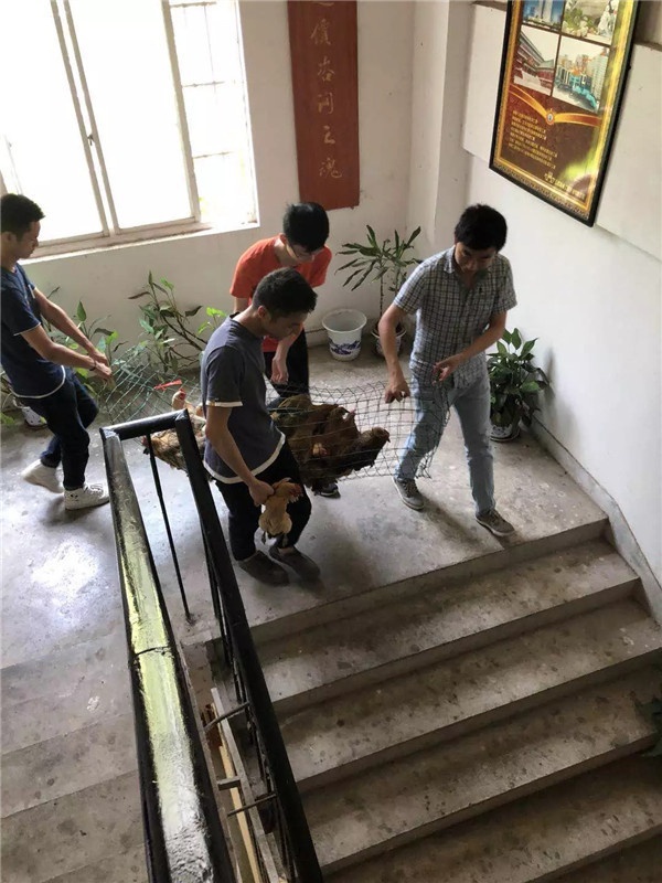 1536221407864001.jpg 640.webp (17).jpg